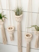 Air Plant Holder – Air Plant Hanger – Air Plant Display – Macrame Air Plant Hanger – Macrame Home Decor – Macrame Plant Holder – Boho Decor