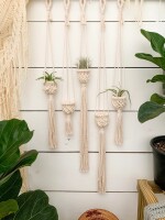 Air Plant Holder – Air Plant Hanger – Air Plant Display – Macrame Air Plant Hanger – Macrame Home Decor – Macrame Plant Holder – Boho Decor