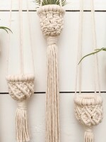 Air Plant Holder – Air Plant Hanger – Air Plant Display – Macrame Air Plant Hanger – Macrame Home Decor – Macrame Plant Holder – Boho Decor