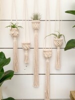 Air Plant Holder – Air Plant Hanger – Air Plant Display – Macrame Air Plant Hanger – Macrame Home Decor – Macrame Plant Holder – Boho Decor