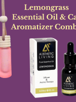 Aesthetic Living Car Aromatizer/ Diffuser Bottle with Essential Oil(Neon Tube shape-6ml+ Lemongrass Essential oil15ml)