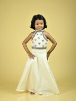 Birdie Handpainted Chanderi Kids Crop Top & Skirt Set – Madhubani Artistry in Motion