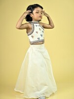 Birdie Handpainted Chanderi Kids Crop Top & Skirt Set – Madhubani Artistry in Motion