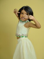 Birdie Handpainted Chanderi Kids Crop Top & Skirt Set – Madhubani Artistry in Motion