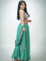 Sea green net embroidered floral & plain blouse with chiffon skirt