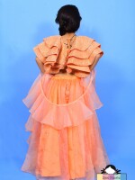 Glitter (lehenga)  PEACH COLOUR STYLISH & ELEGANT LEHENGA FOR KIDS PARTY WEAR