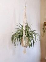 Large Macrame Basket Plant Hanger | Classic plant holder | Timeless home decor | Ceiling and window hanging planter