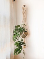 Macrame “Infinity” Plant Hanger / Gifts for her/ Houseplants / Boho / Unique Gifts / Handmade / Wall Hanging / Eclectic / Gifts for him