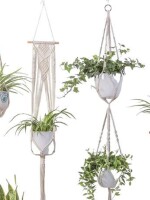 Macrame Plant hanger