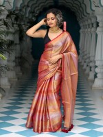 Handloom beautiful tissue saree